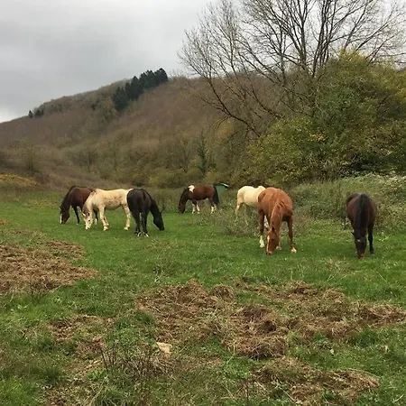 Le Hameau De Hébergement de vacances *