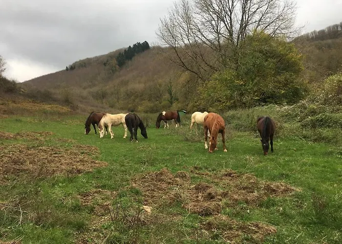 Le Hameau De Дом отдыха *